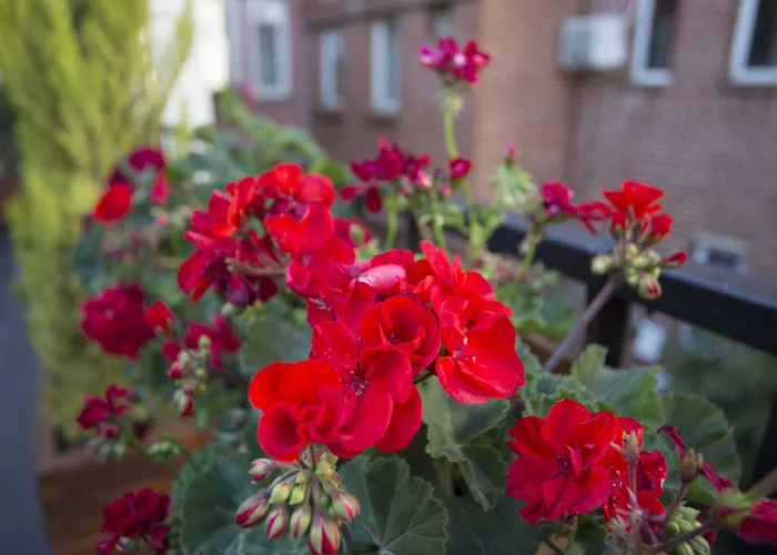 Long Апартаменты *